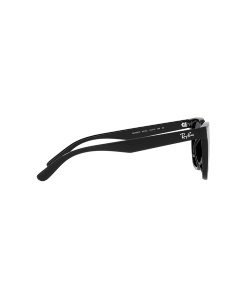 レイバン　ORB4391D　サングラス RB4391D Sunglasses in Black and Dark Green - RB4391D | Ray