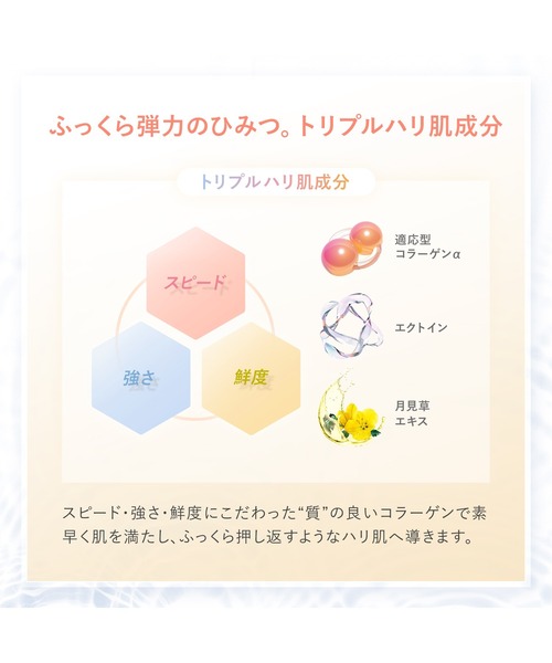 FANCL（ファンケル） 化粧水 エンリッチプラス 化粧液 「医薬部外品