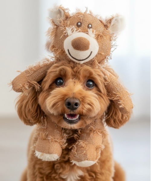 ONE DAY KMC 犬 おもちゃ ONE DAY Select / ペット雑貨 犬用おもちゃ