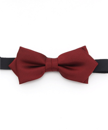 小物 JOHNLAWRENCESULLIVAN Silk twill neck tie JOHN LAWRENCE SULLIVAN（ジョンローレンスサリバン）の「【JOHN