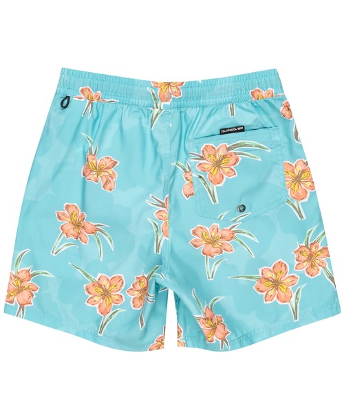 Quiksilver（クイックシルバー） 水着 EVERYDAY STRAIGHT VL/クイック