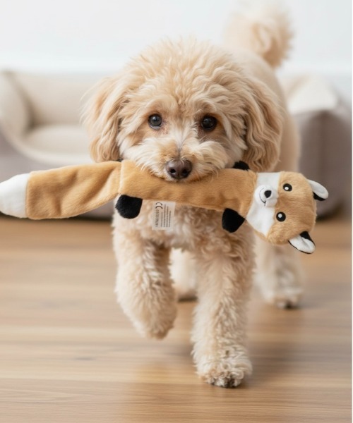 ONE DAY KMC 犬 おもちゃ ONE DAY Select / ペット雑貨 犬用おもちゃ