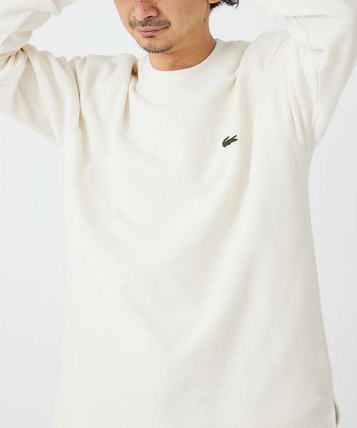 LACOSTE × JOURNAL STANDARD relume長袖カットソー JOURNAL STANDARD relume tシャツ LACOSTE / ラコステ 別注