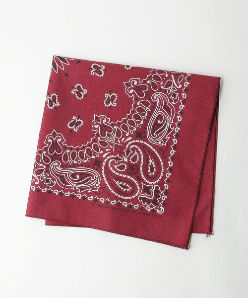 HAV-A-HANK スカーフ バンダナ 「HAV-A-HANK」BANDANNA メンズ