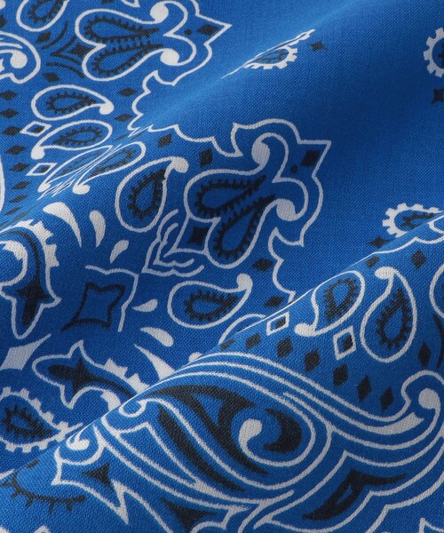 HAV-A-HANK スカーフ バンダナ 「HAV-A-HANK」BANDANNA メンズ