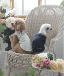 犬 服 LAURA ASHLEY/プリントスカ...の詳細画像1