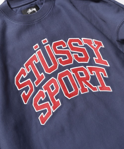 STUSSY（ステューシー） スウェットカットソー M ネイビー メンズ