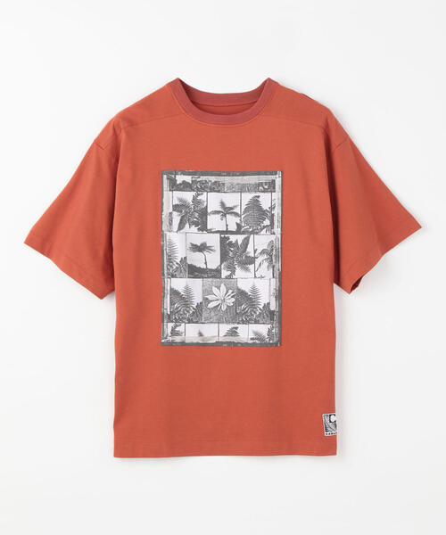 tシャツ Tシャツ CABaN Costarica アートTシャツ