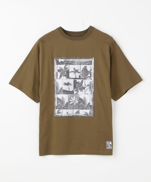 tシャツ Tシャツ CABaN Costarica アートTシャツ