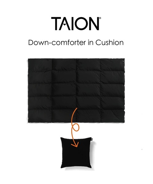TAION（タイオン） ベッド 寝具 「」ルームダウン 超軽量 800FP 羽毛