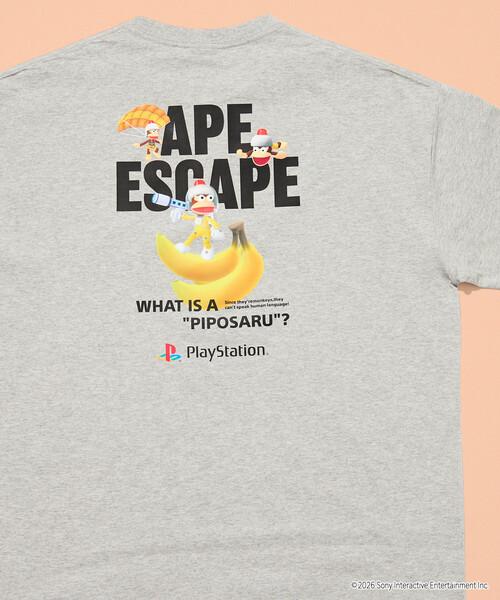 FREAK'S STORE（フリークスストア） tシャツ 限定展開 ビッグ