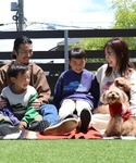 犬 服 「犬服・大型犬サイズ・乾きやすい」DO...の詳細画像4