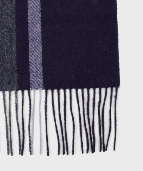 TAKEO KIKUCHI（タケオキクチ） マフラー 「ラッピング巾着セット