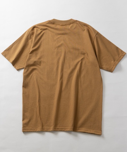 PRO CLUB（プロクラブ） tシャツ 「22」「PROCLUB/プロクラブ