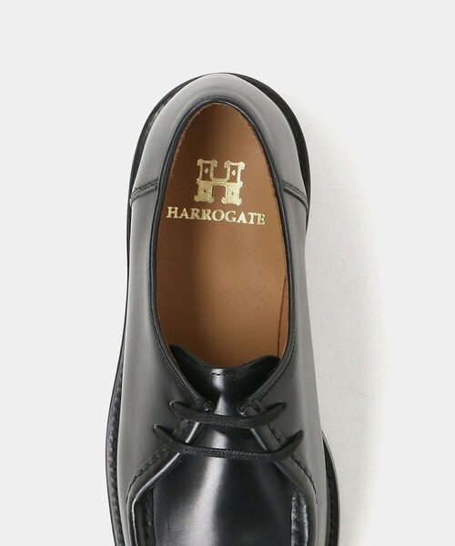 HARROGATE（ハロゲイト） デッキシューズ HAMPSTEAD/シューズ メンズ