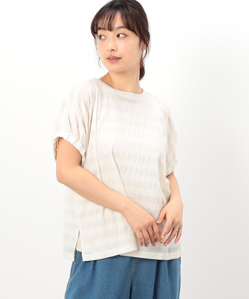 tシャツ 半袖 シアーボーダー ドルマンスリーブTシャツ レディース