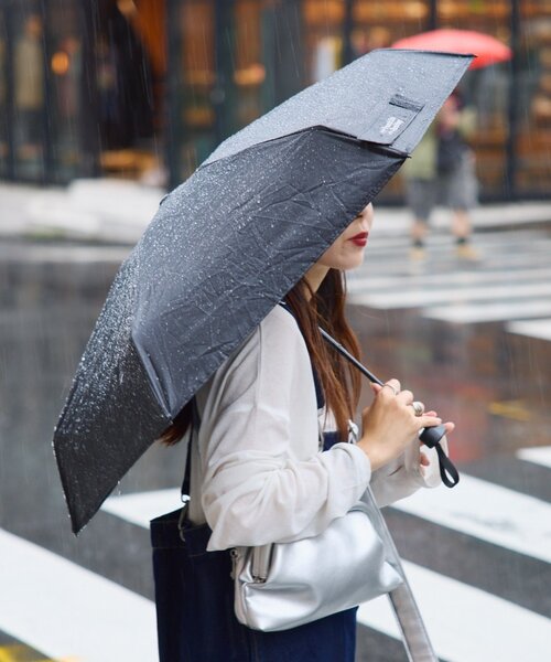 Franklin Climbing 折りたたみ傘 「Franklin Climbing」「RAIN