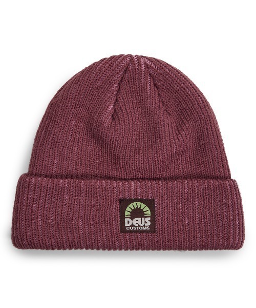 激レア　美品　モーリシャス産　蓋付き　ムラサキムカデソデ DMP257997-SqueakCordCap-