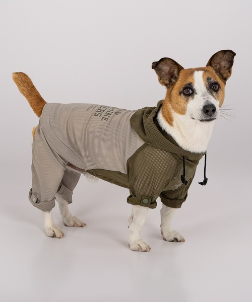 MANDARINE BROTHERS（マンダリンブラザーズ） 犬 服 インセクト