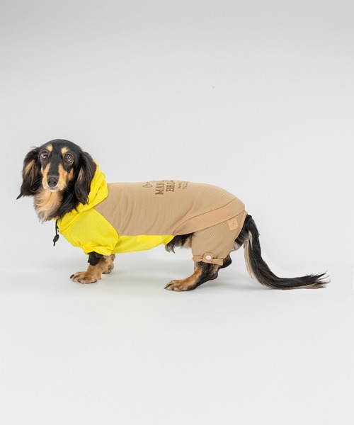 MANDARINE BROTHERS（マンダリンブラザーズ） 犬 服 インセクト