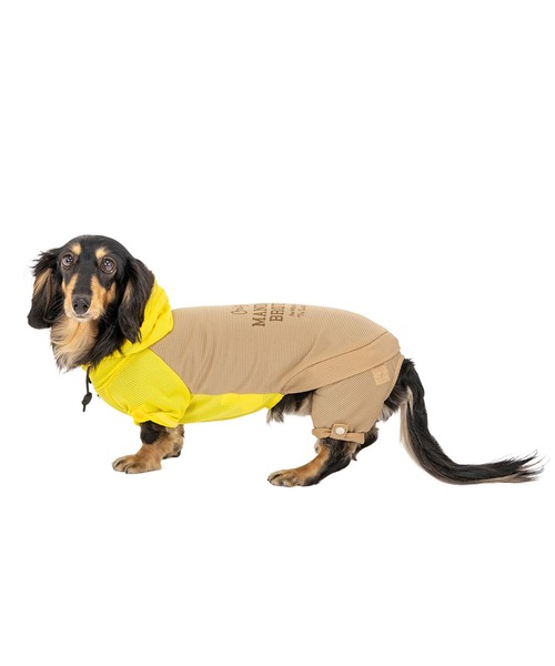 MANDARINE BROTHERS（マンダリンブラザーズ） 犬 服 インセクト