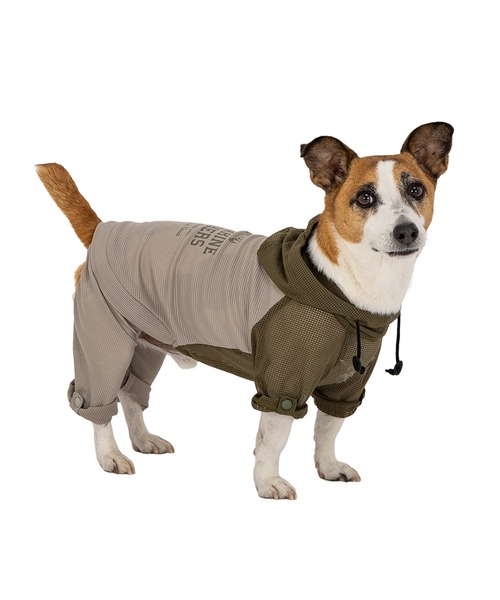 MANDARINE BROTHERS（マンダリンブラザーズ） 犬 服 インセクト