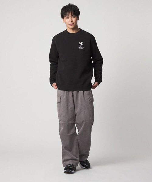 A DAY IN THE LIFE トレーナー スウェット 「BRANDALISED