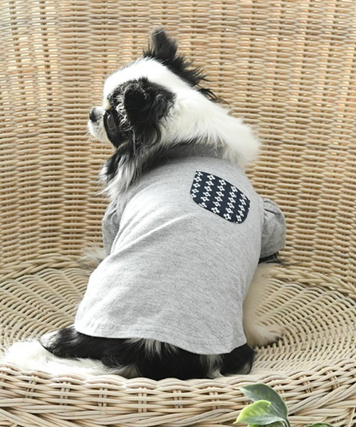 犬 服 LAURA ASHLEY/ドッグシャツ小型犬サイズ | LAURA ASHLEY | 02