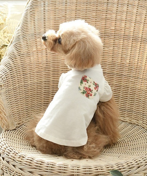犬 服 LAURA ASHLEY/ドッグシャツ小型犬サイズ | LAURA ASHLEY