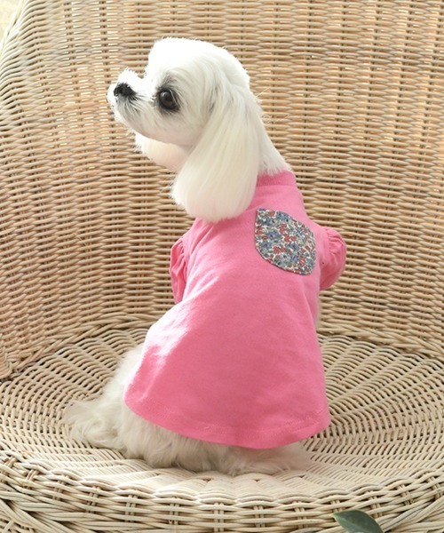 犬 服 LAURA ASHLEY/ドッグシャツ小型犬サイズ | LAURA ASHLEY | 06
