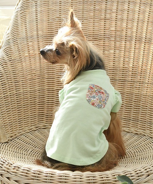 犬 服 LAURA ASHLEY/ドッグシャツ小型犬サイズ | LAURA ASHLEY | 03
