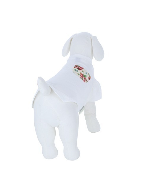 犬 服 LAURA ASHLEY/ドッグシャツ小型犬サイズ | LAURA ASHLEY | 16