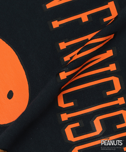 tシャツ Champion/チャンピオン SNOOPY FRANCISCO TSH レディース Champion tシャツ Champion/チャンピオン SNOOPY FRANCISCO TSH