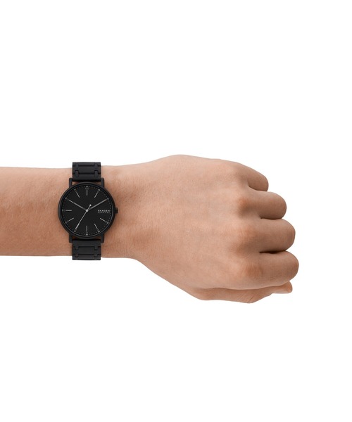 SKAGEN 腕時計 スカーゲン メンズ アナログ ステンレス SKW6914