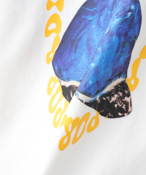 Diaspora skateboards tシャツ DIASPORA SKATEBOARDS/ディアスポラ