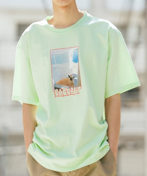 tシャツ Tシャツ PACCBET/ラスベート MEN DOG T-SHIRT KNIT ドッグ 