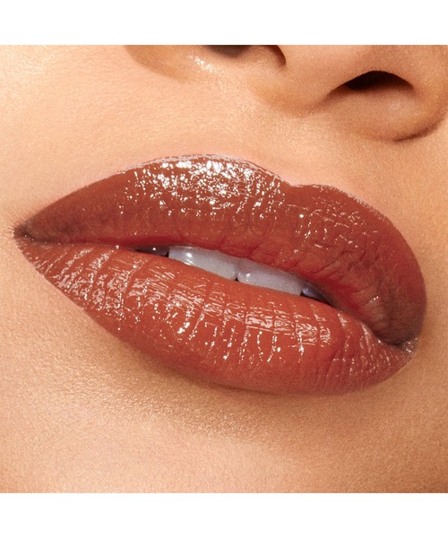ESTEE LAUDER 口紅 リップ エスティ ローダー estee lauder
