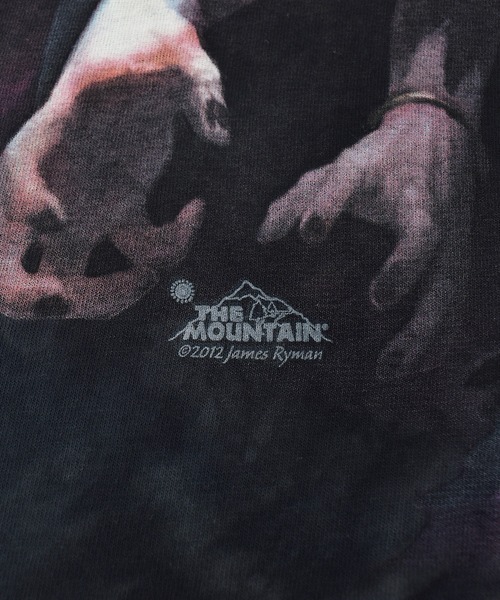 THE MOUNTAIN tシャツ 「ヴィンテージ古着」THE MOUNTAIN / ザ