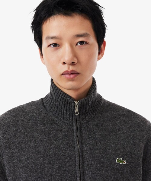 【希少デザイン】LACOSTE ドライバーズニット グレージュ　サイズ3 希少デザイン】LACOSTE ドライバーズニット グレージュ サイズ3