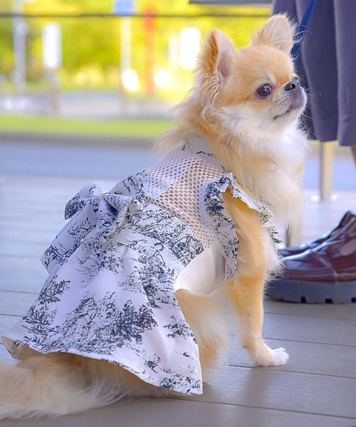 ONEKOSAMA OINUSAMA（おねこさま・おいぬさま） 犬 服 空調ペット服