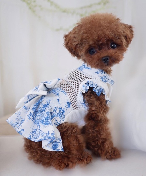 犬服・アクセサリー OINUSAMA ONEKOSAMA OINUSAMA（おねこさま・おいぬさま） 犬 服 空調ペット服