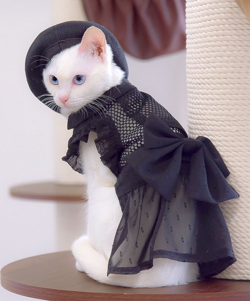 ONEKOSAMA OINUSAMA（おねこさま・おいぬさま） 犬 服 空調ペット服