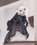 犬 服 空調ペット服対応 ペットサンドレス 選...の詳細画像4
