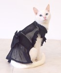 犬 服 空調ペット服対応 ペットサンドレス 選...の詳細画像5