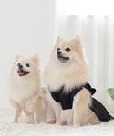 犬 服 空調ペット服対応 ペットサンドレス 選...の詳細画像3