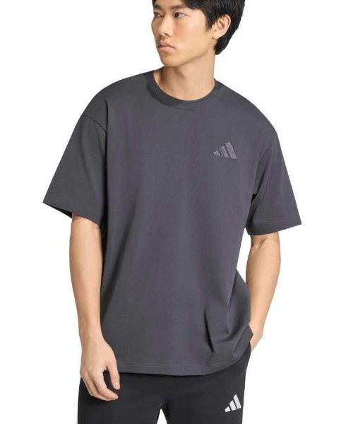adidas（アディダス） adidas tシャツ 「adidas×アルペン限定モデル