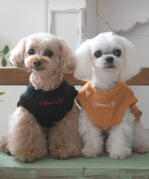 AVIREX（アヴィレックス） 犬 服 AVIREX/フライングタイガースウェット