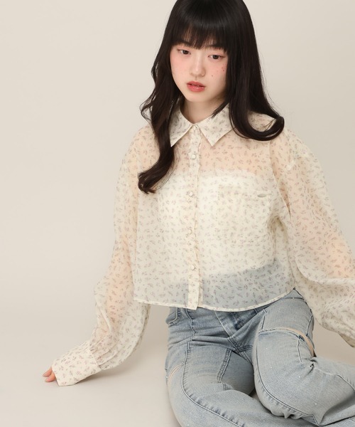 HER.　ブラウス　長袖　チュール　美品　シアーシャツ　近年　美品　完売 Heather（ヘザー） ブラウス シャツ アソートシアーシャツ 669227