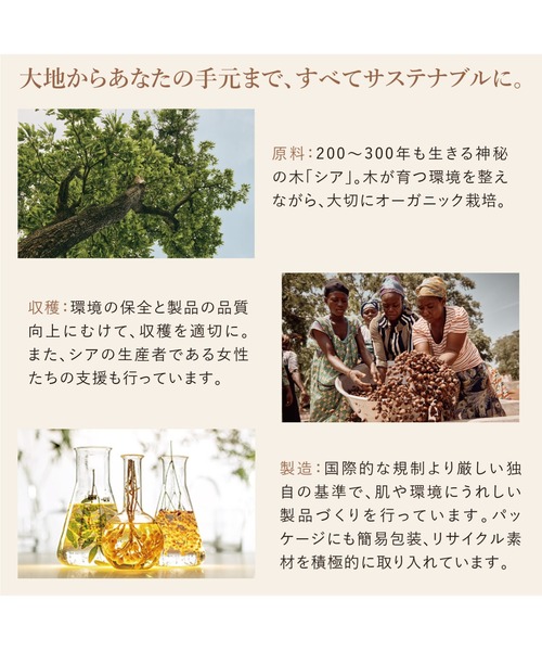 L'OCCITANE コスメセット コフレ ロクシタン l'occitane シア