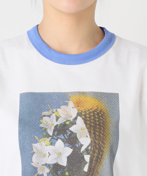 JANESMITH tシャツ 「JANE SMITH/ジェーンスミス」NICOLA